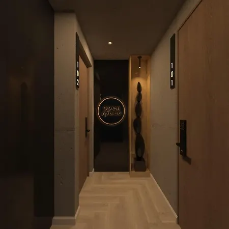 Open Space Apartment Nis